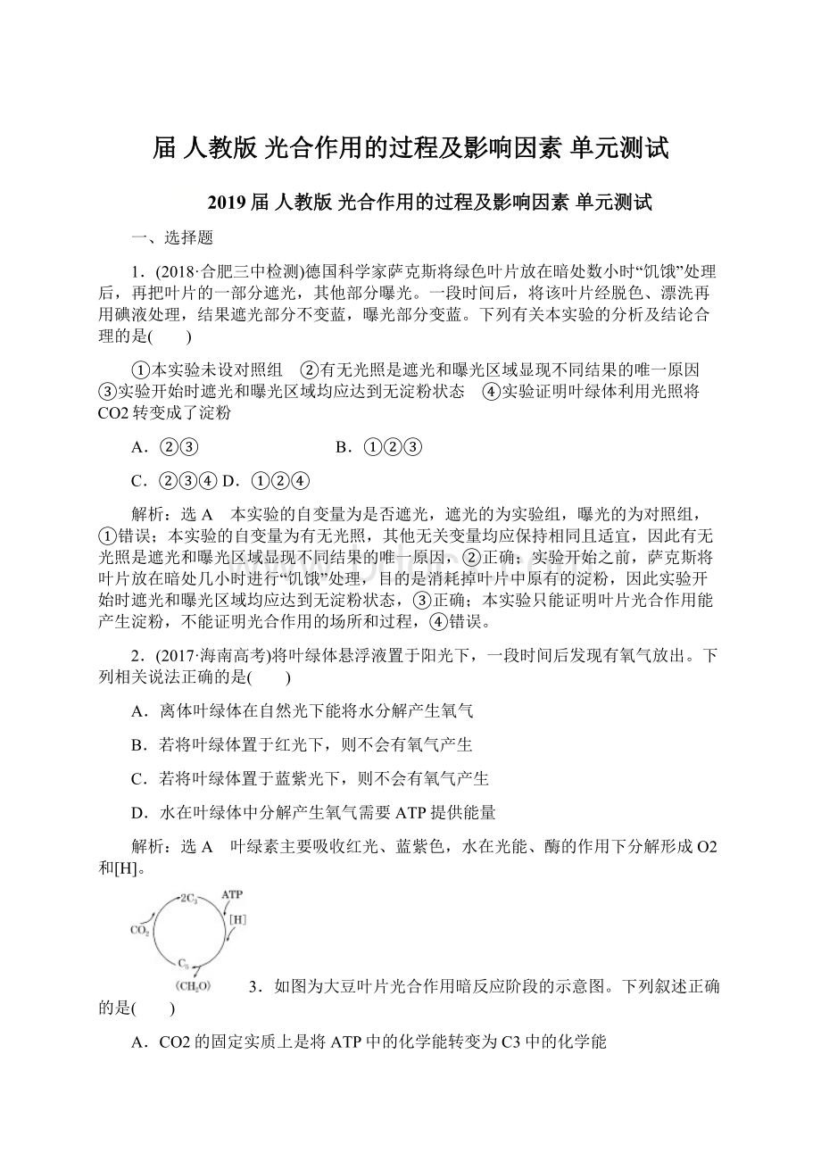 届人教版光合作用的过程及影响因素 单元测试Word格式文档下载.docx_第1页