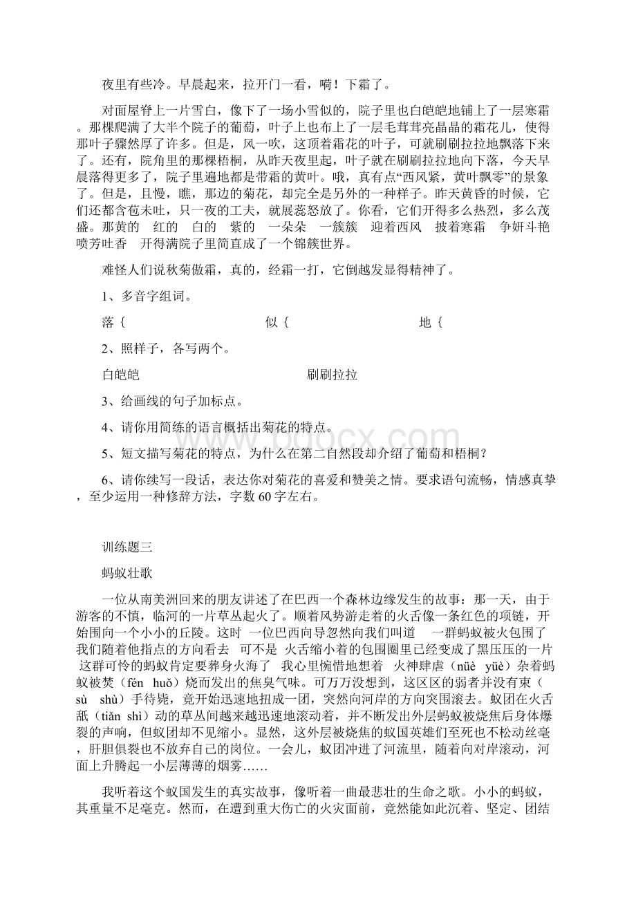 现代文阅读专题练习含答案Word文档下载推荐.docx_第2页