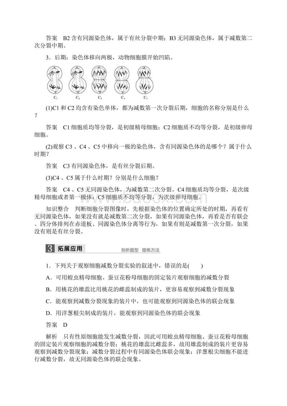 K12教育学习资料高中生物第二章基因和染色体的关系第1节减数分裂和受精作用第3课时减数分裂的观察Word文件下载.docx_第3页