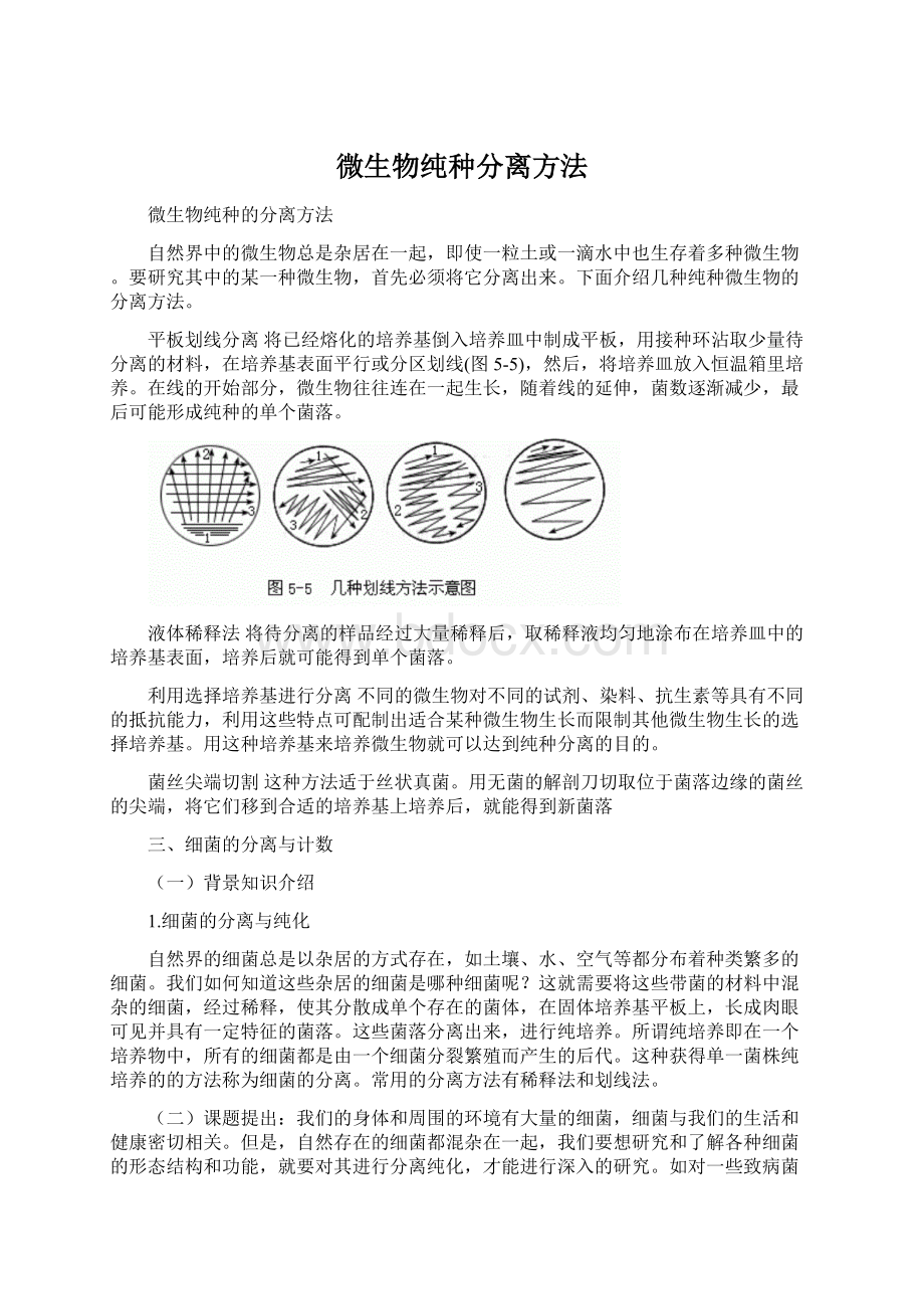 微生物纯种分离方法Word文档格式.docx