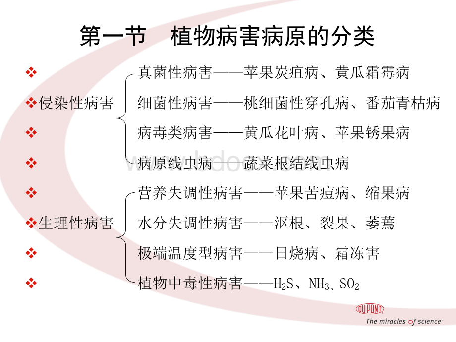 植病基础知识.ppt_第3页