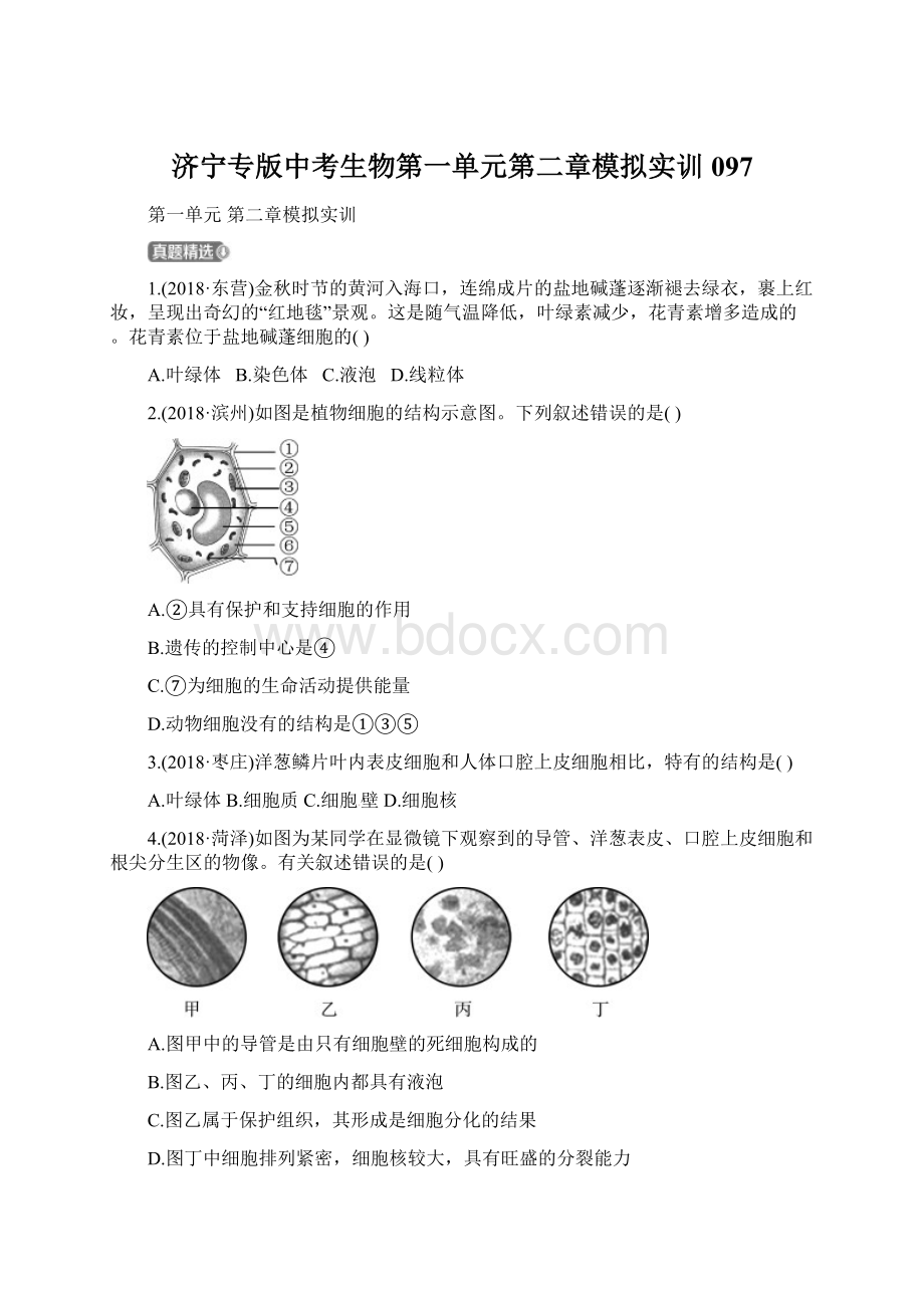 济宁专版中考生物第一单元第二章模拟实训097.docx_第1页