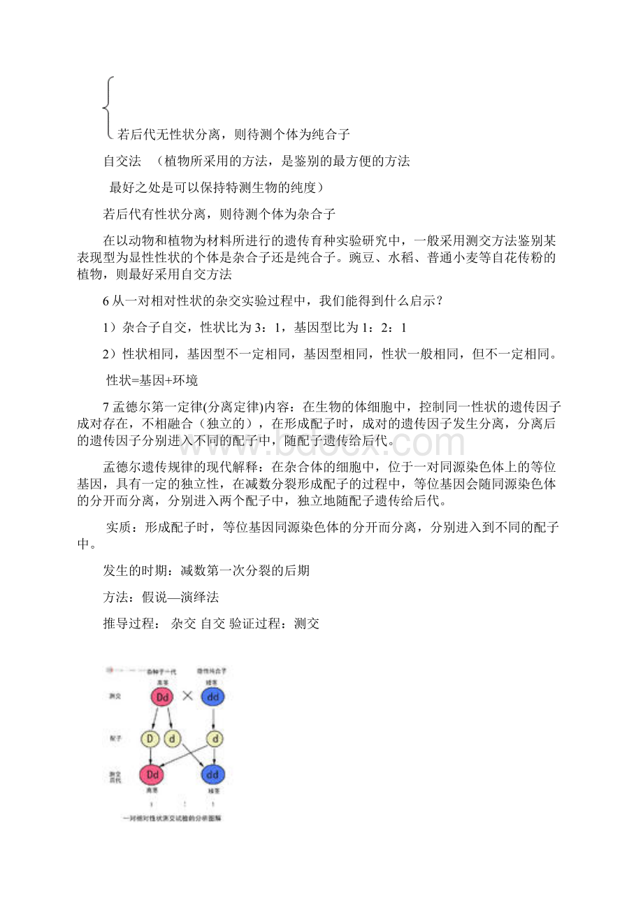 高中生物必修二《遗传与进化》知识点总结Word文档下载推荐.docx_第3页