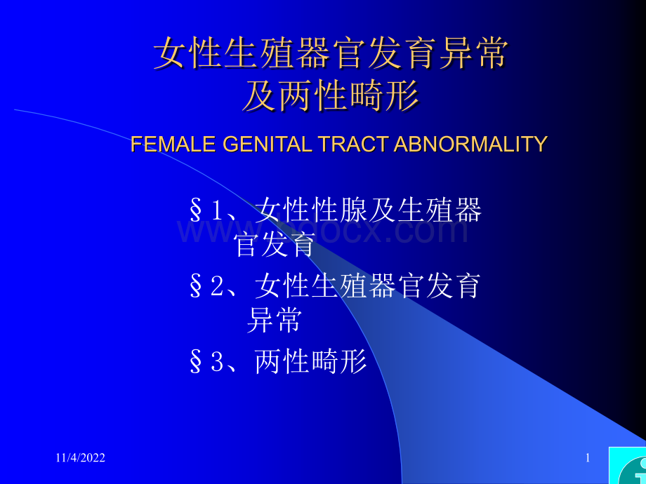 女性生殖器官发育异常及两性畸形+女性生殖....ppt_第1页