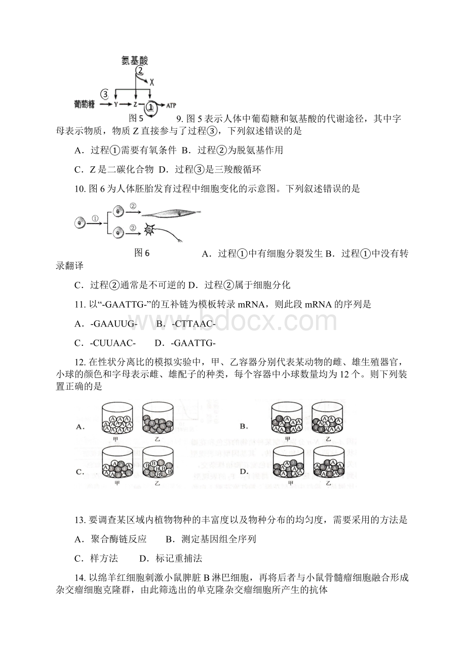 上海市黄浦区届高三生命科学上学期期末调研测试试题Word文档格式.docx_第3页