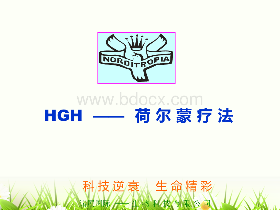 HGH与内分泌系统形态学PPT课件PPT课件下载推荐.ppt