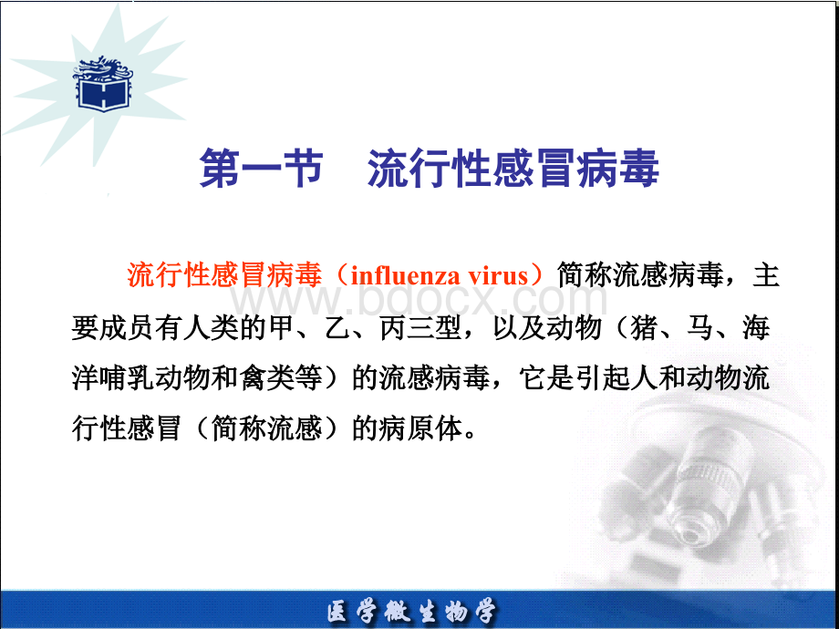 章医学微生物优质PPT.ppt_第2页