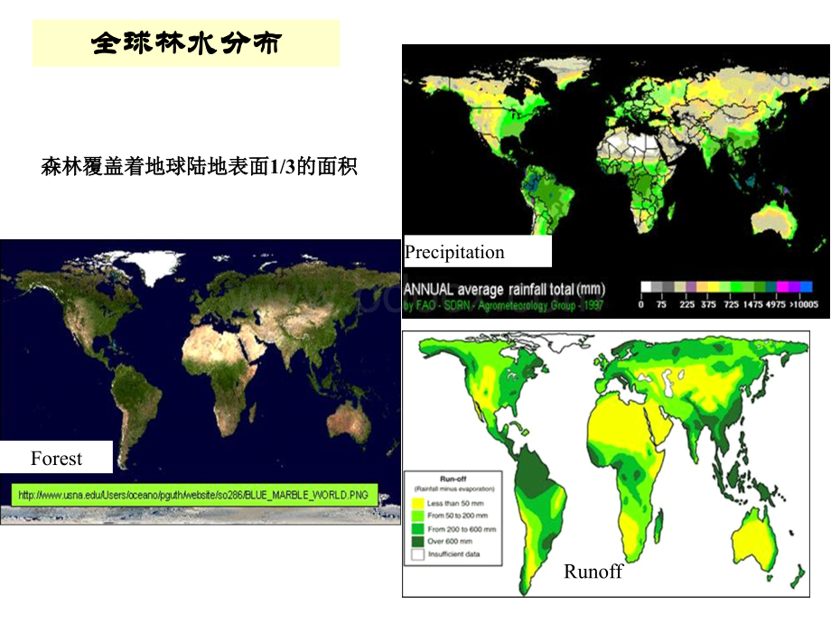 森林与水.pptx_第3页