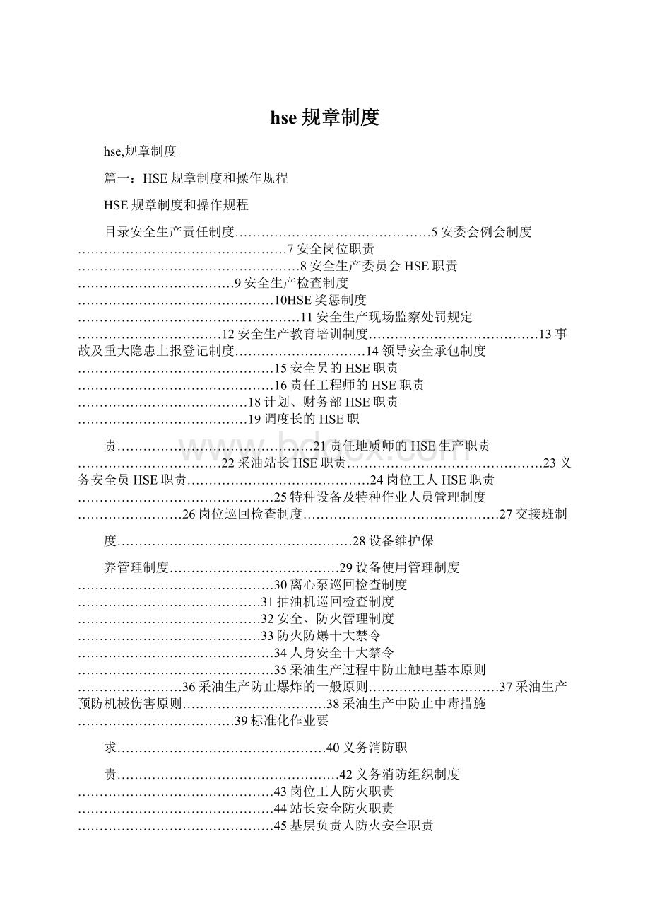 hse规章制度Word下载.docx