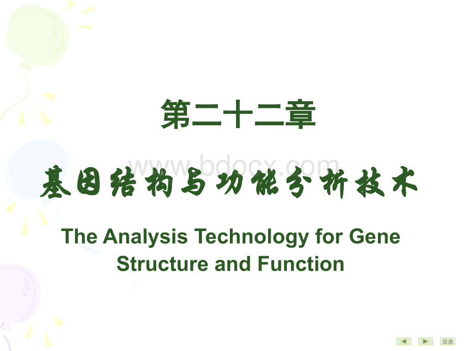 基因结构及功能分析PPT资料.ppt_第2页