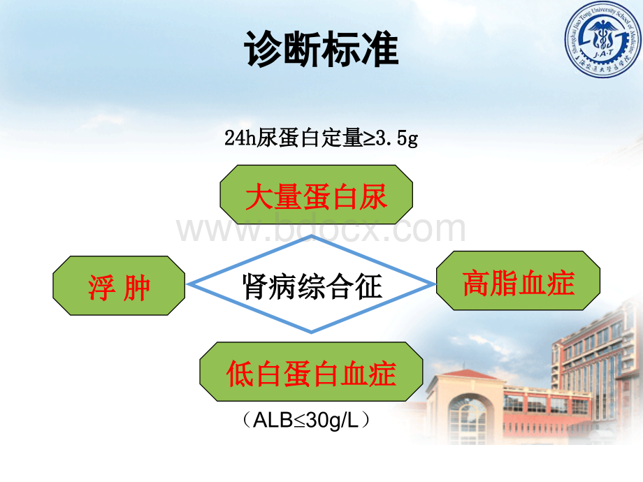 肾病综合征课件PPT文档格式.ppt_第3页