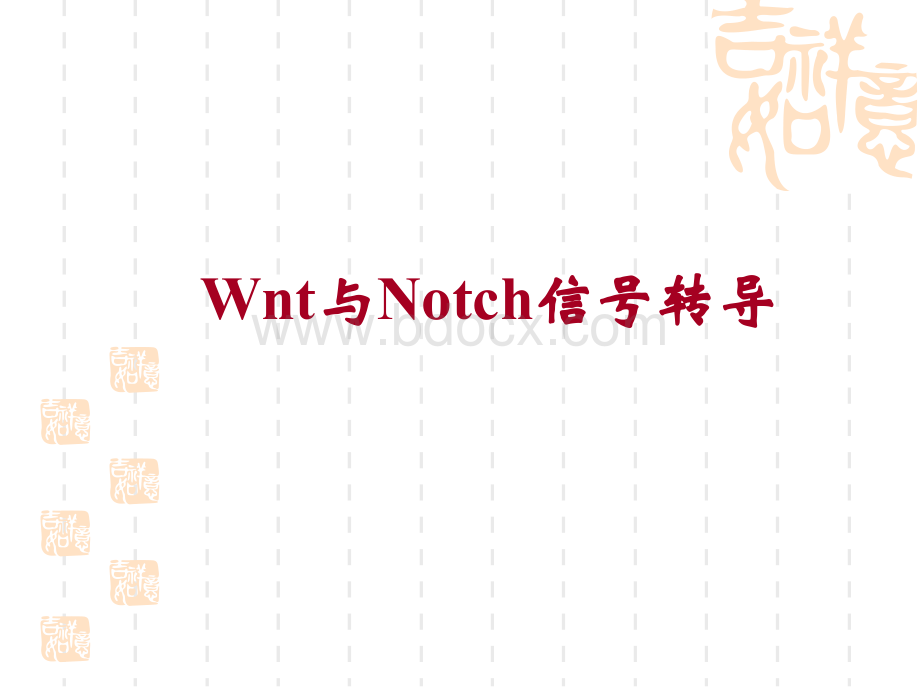 Wnt与Notch信号传导正式.pptx