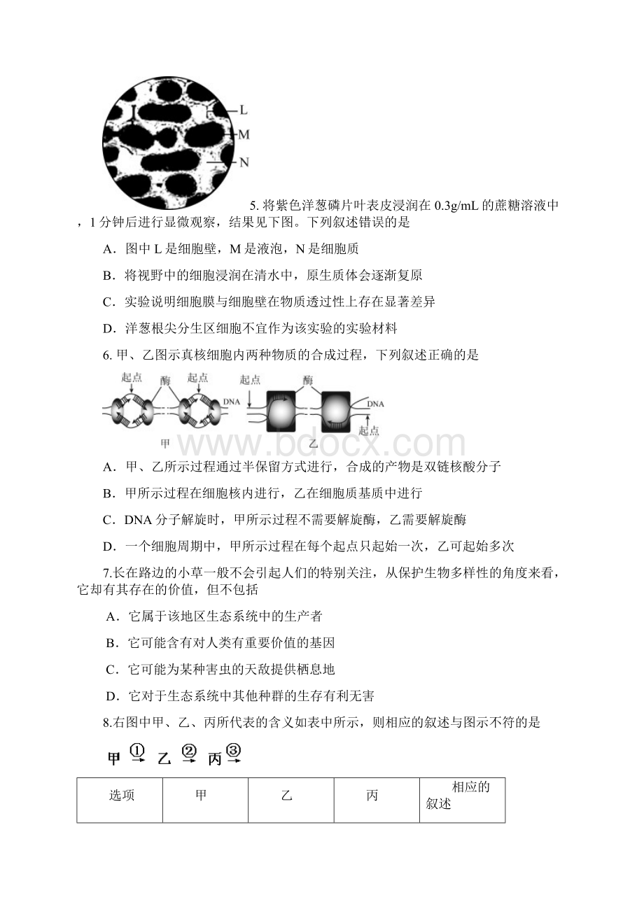 江苏省宿迁市沭阳银河学校届高三上学期月考 生物试题Word文件下载.docx_第2页