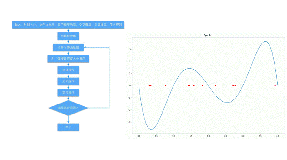 多目标遗传算法NSGA-II优质PPT.pptx_第2页