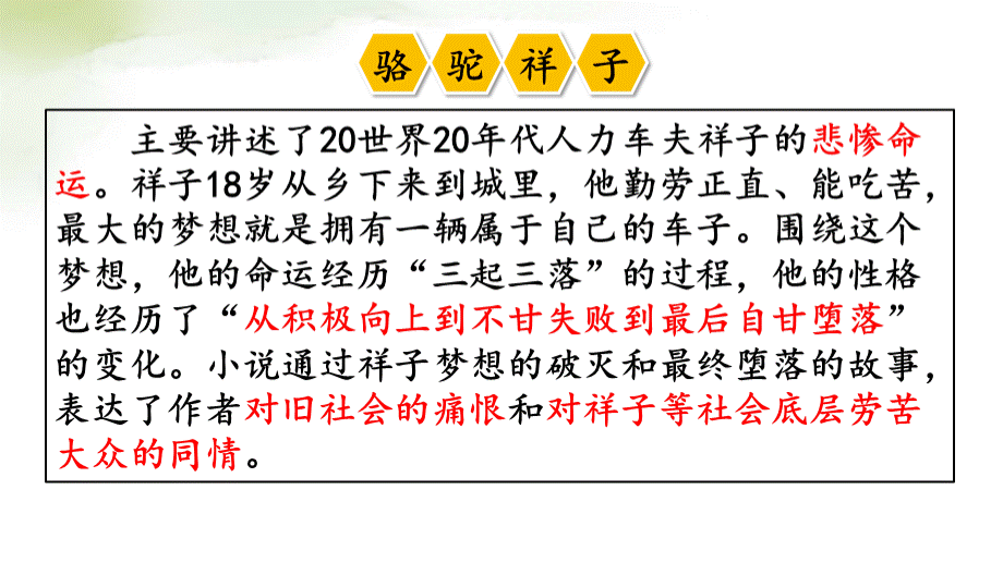 部编版五年级下册《他像一棵挺脱的树》课件PPT文档格式.pptx_第3页