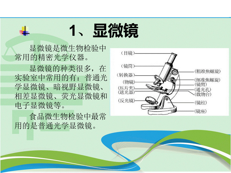 山东嘉源检测：微生物制片染色显微镜观察PPT推荐.ppt_第2页