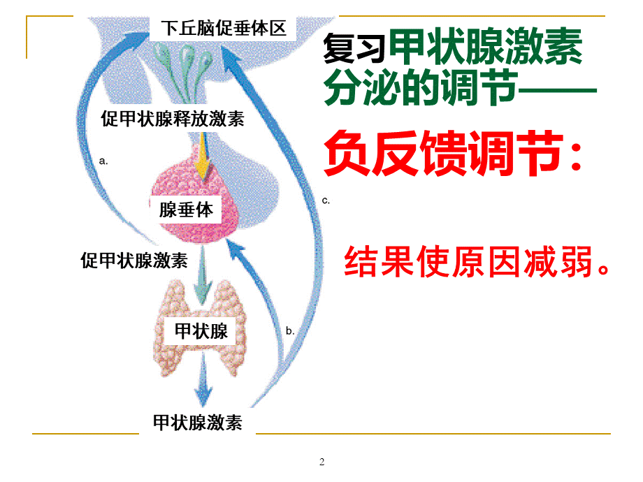 甲状腺功能亢进症 (1).ppt_第2页