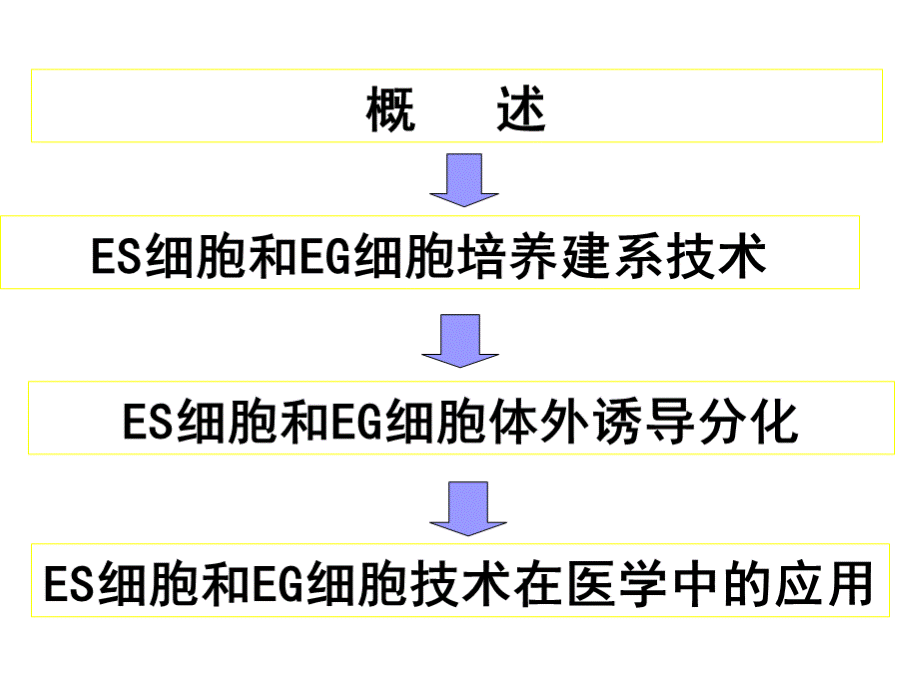 胚胎干细胞.ppt_第2页