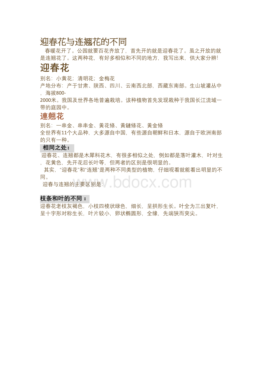 迎春花与连翘花的不同Word文档格式.docx