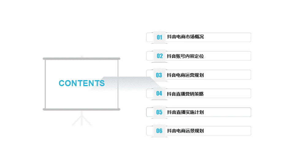 抖音直播电商项目计划书抖音电商创业商业计划书抖音直播带货计划书抖音电商运营方案PPT资料.pptx_第2页