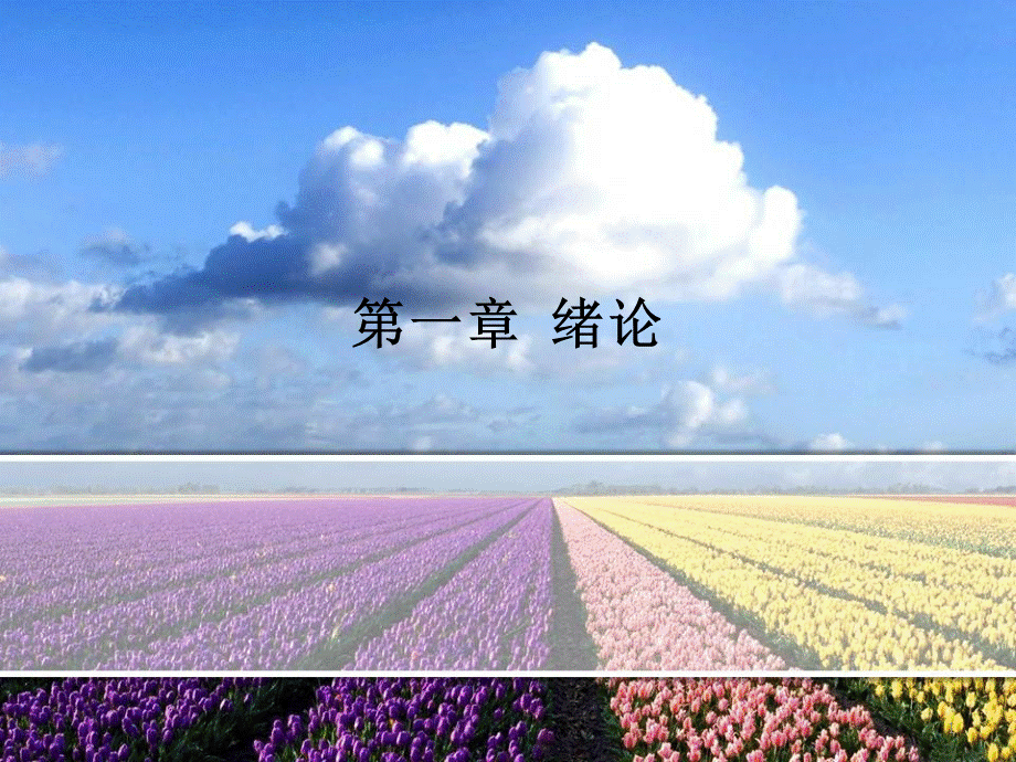 自考-政治学概论(00312王惠岩-周光辉)1.ppt_第1页