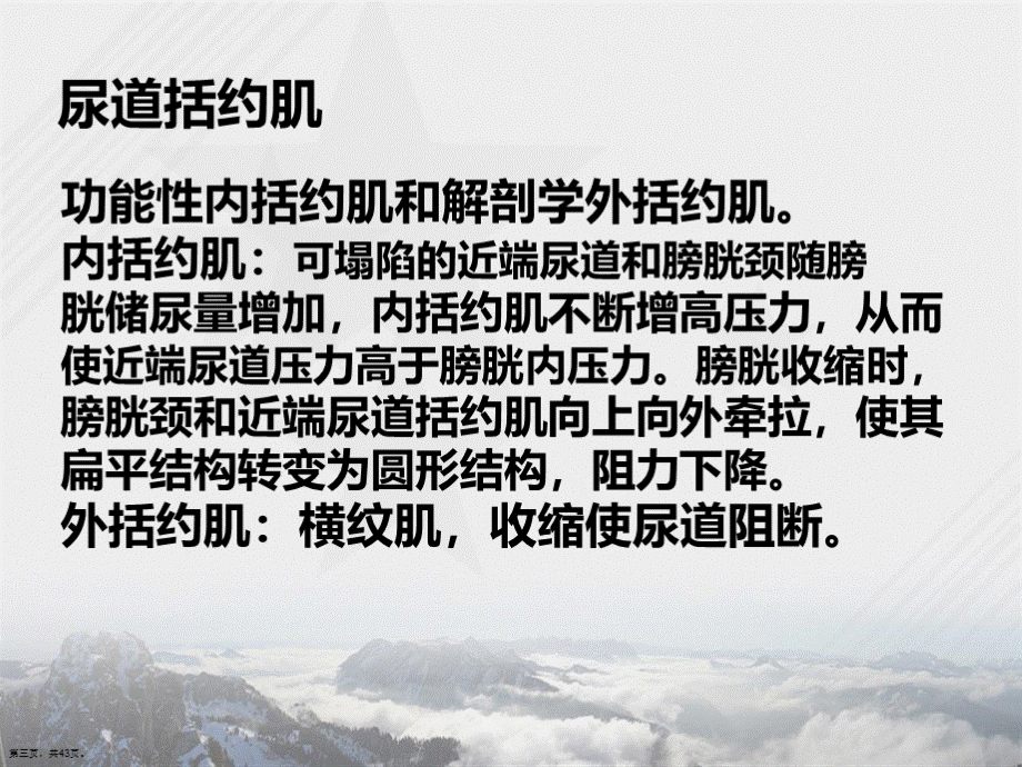 神经源性膀胱的临床处理讲课文档PPT资料.ppt_第3页