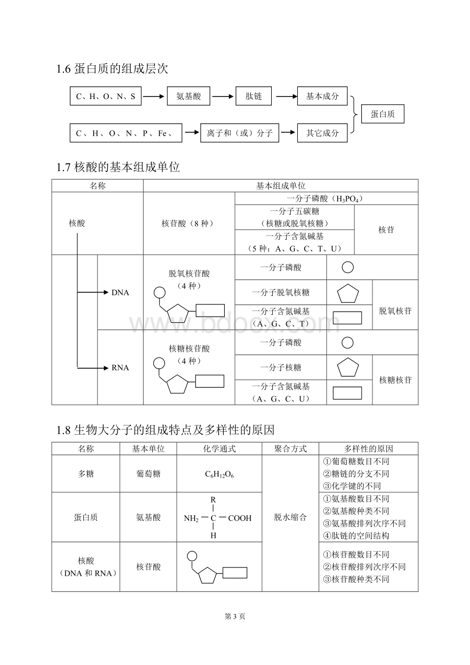 高中生物知识点总结完整版-高三生物知识点总结.doc_第3页