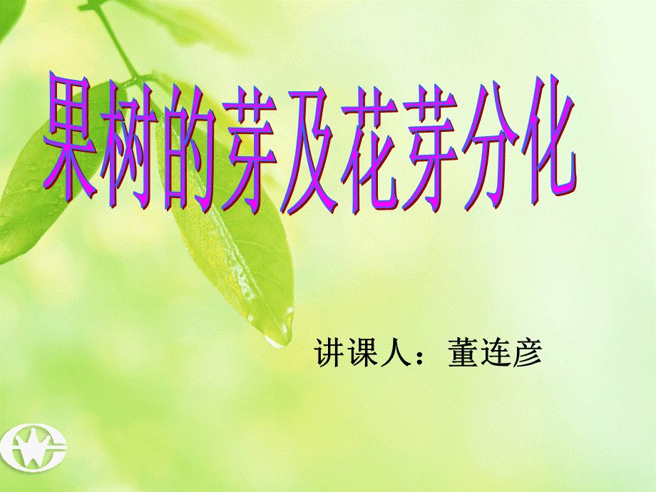 果树的芽及花芽分化.ppt_第1页