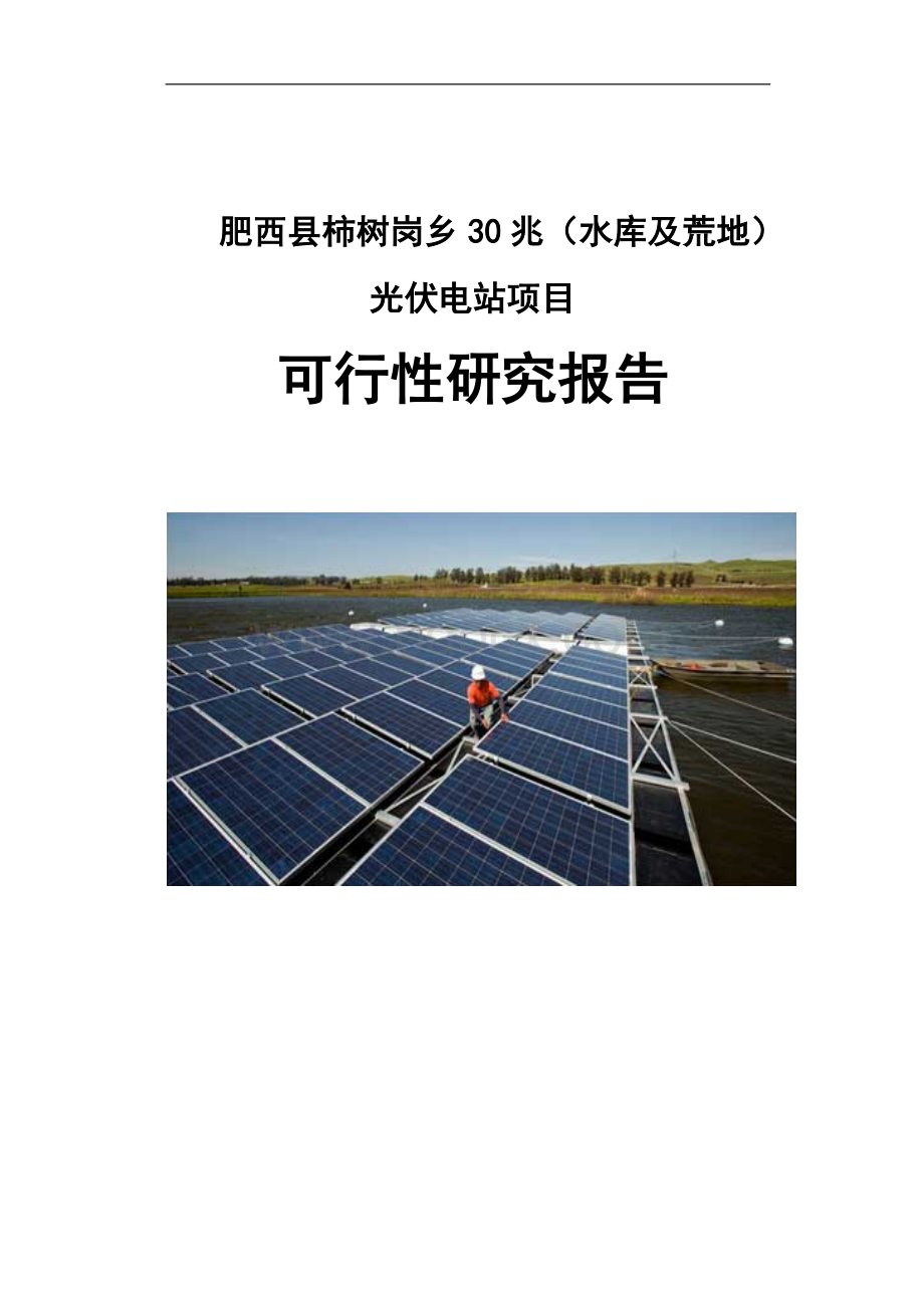 安徽30兆光伏电站项目可行性研究报告.doc_第1页
