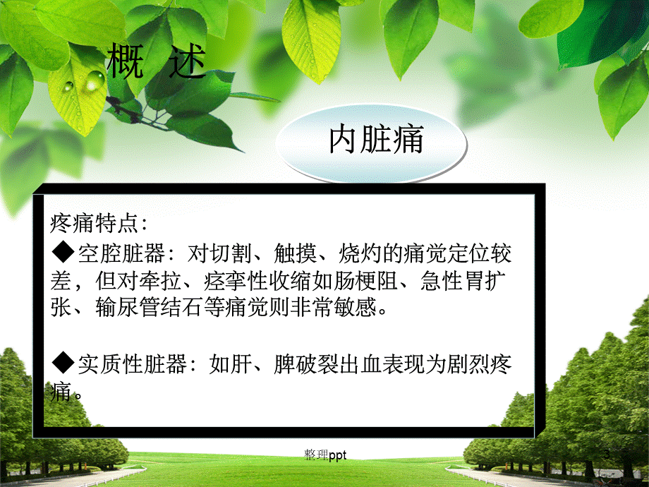 急腹症的分诊护理优质PPT.ppt_第3页