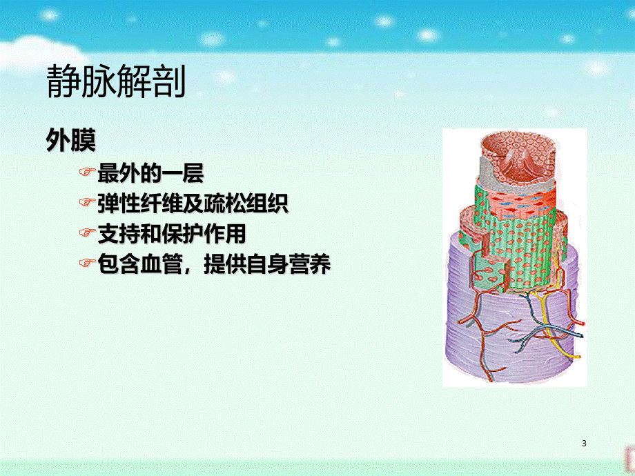 静脉输液治疗常见并发症及处理优质PPT.ppt_第3页