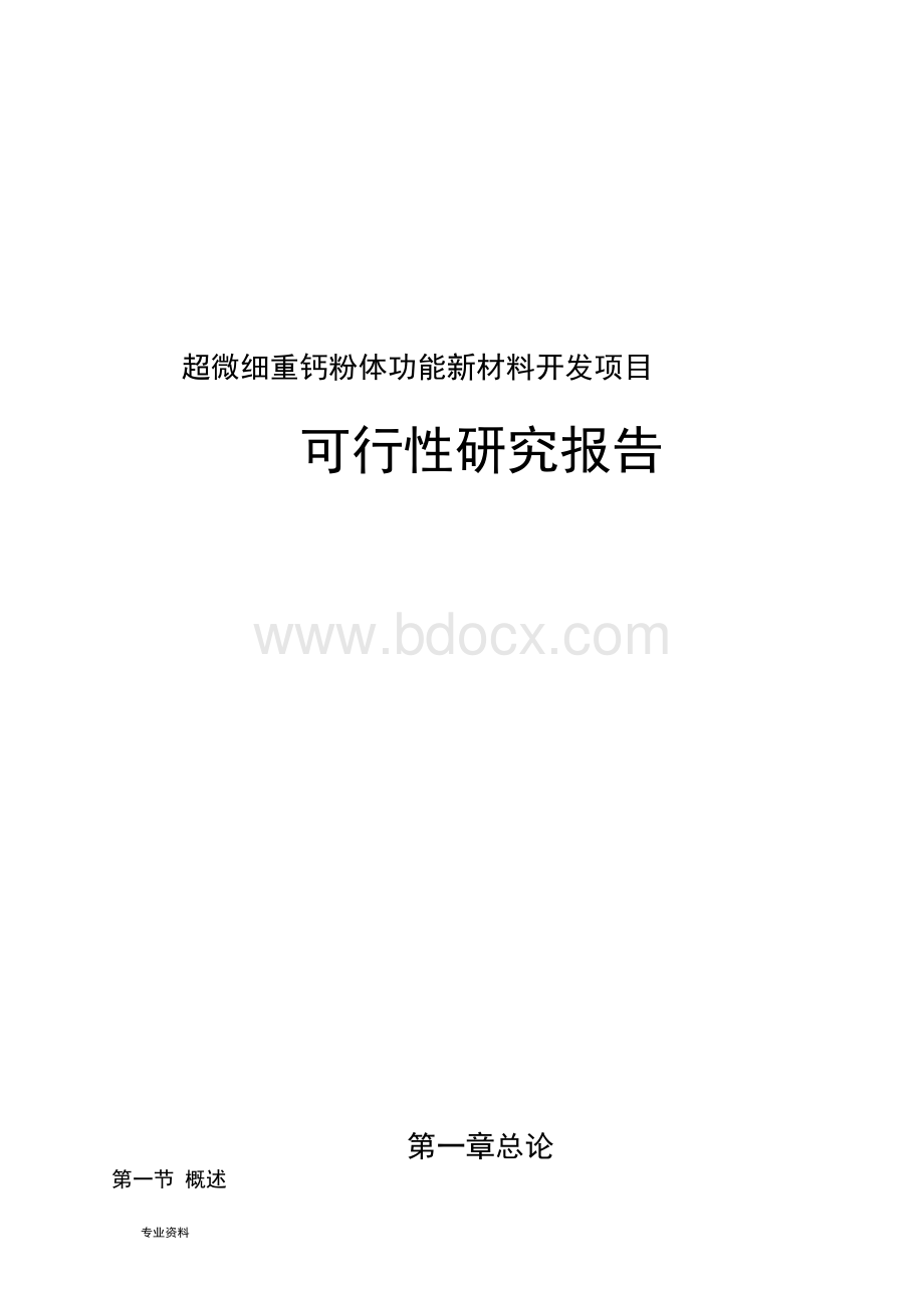 超微细重钙粉体功能新材料开发建设项目可行性研究报告.docx_第1页