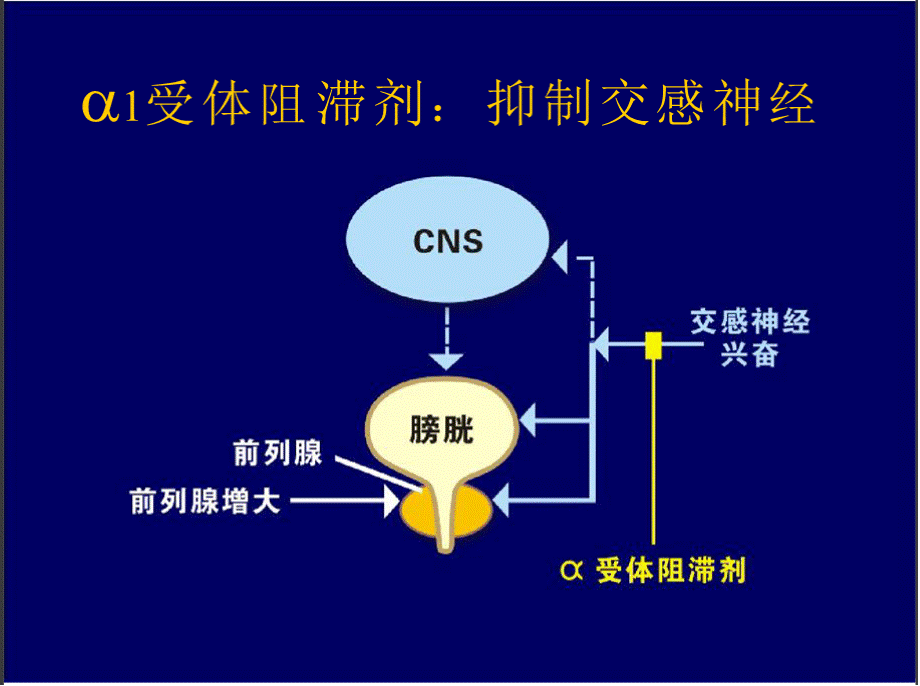 可多华临床研究新进展优质PPT.pptx_第3页