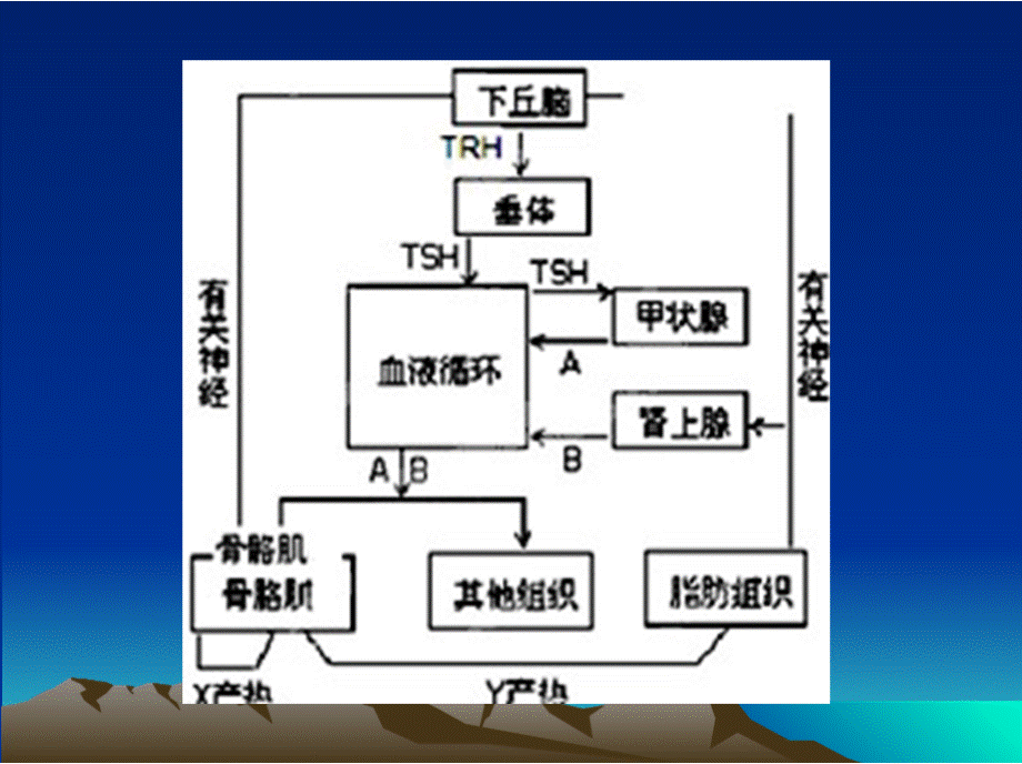 甲状腺功能亢进症甲亢.pptx_第2页