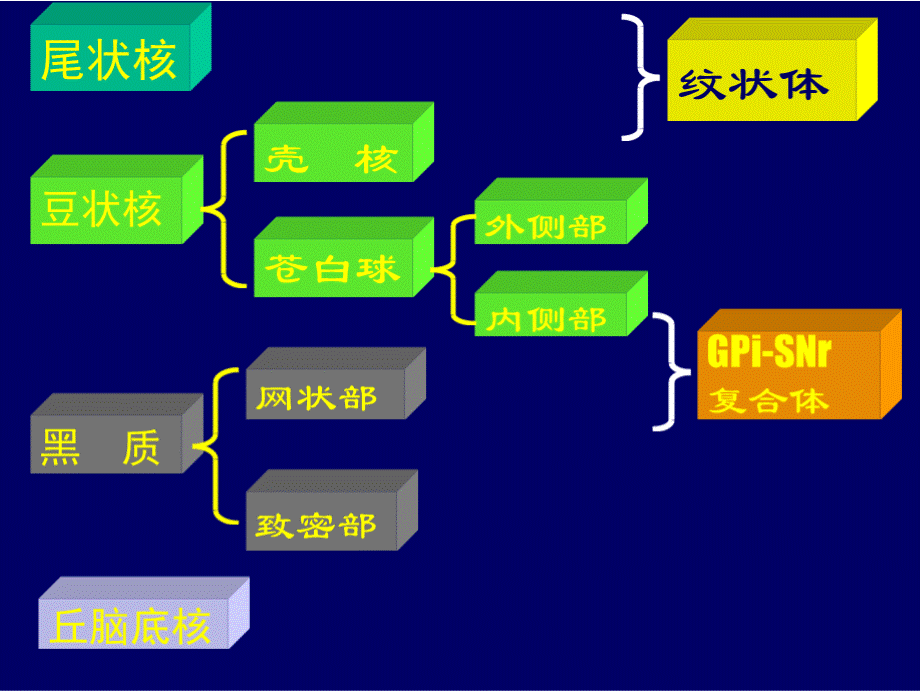 临床医学锥体外系疾病ppt课件_2.pptx_第3页