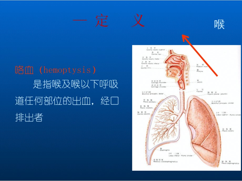 咯血ppt课件.pptx_第2页