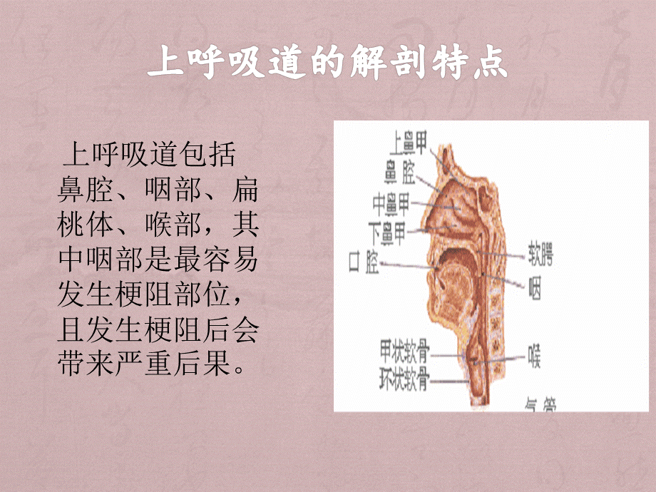 口咽通气管的使用ppt医学课件PPT资料.ppt_第2页