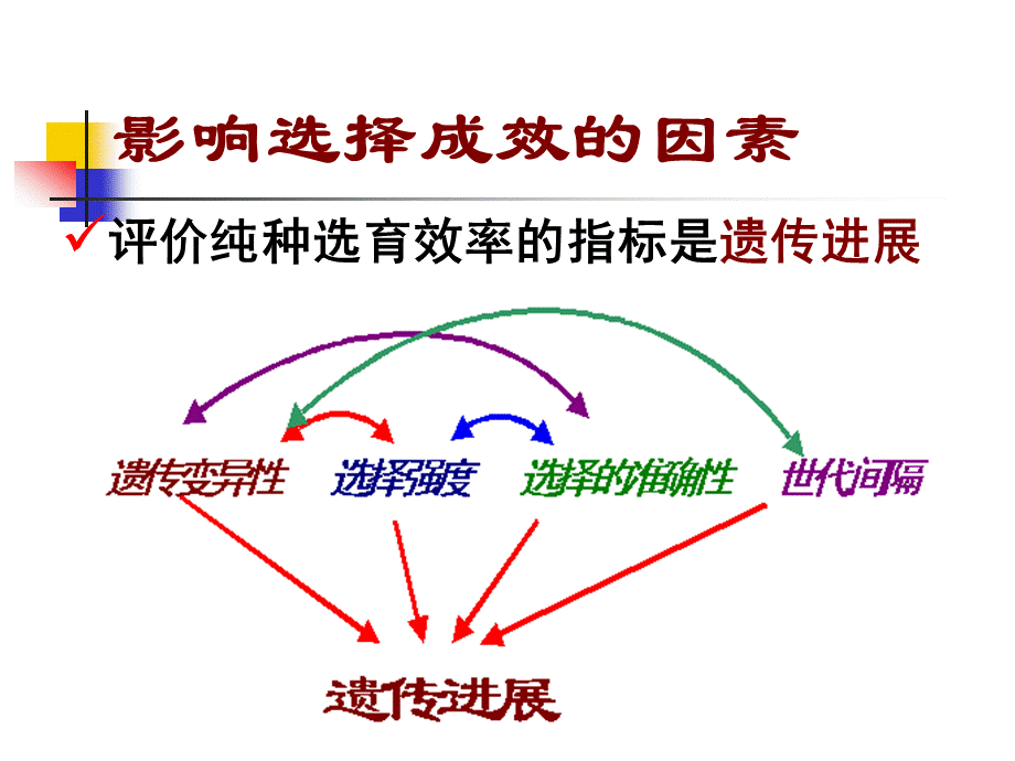 数量性状的选择PPT课件PPT推荐.ppt_第3页