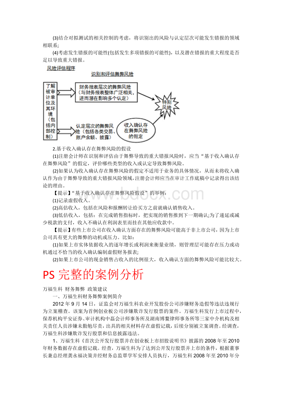 审计舞弊风险.docx_第3页