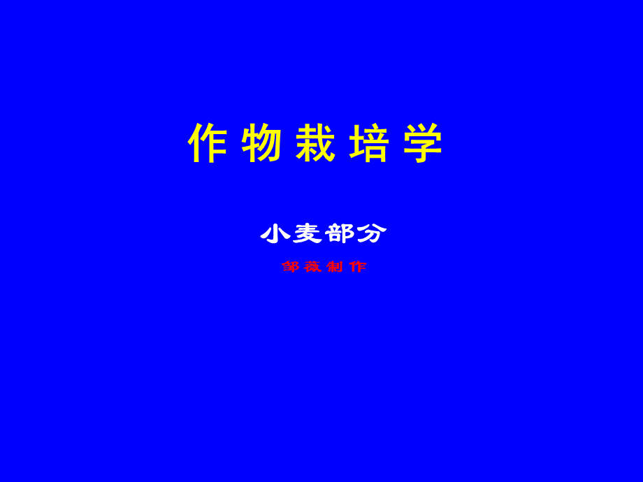 第十二讲小麦生物学基础.ppt