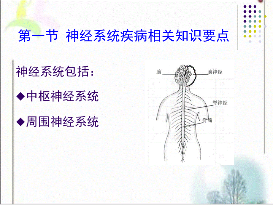 神经系统疾病病人的护理.pptx_第2页