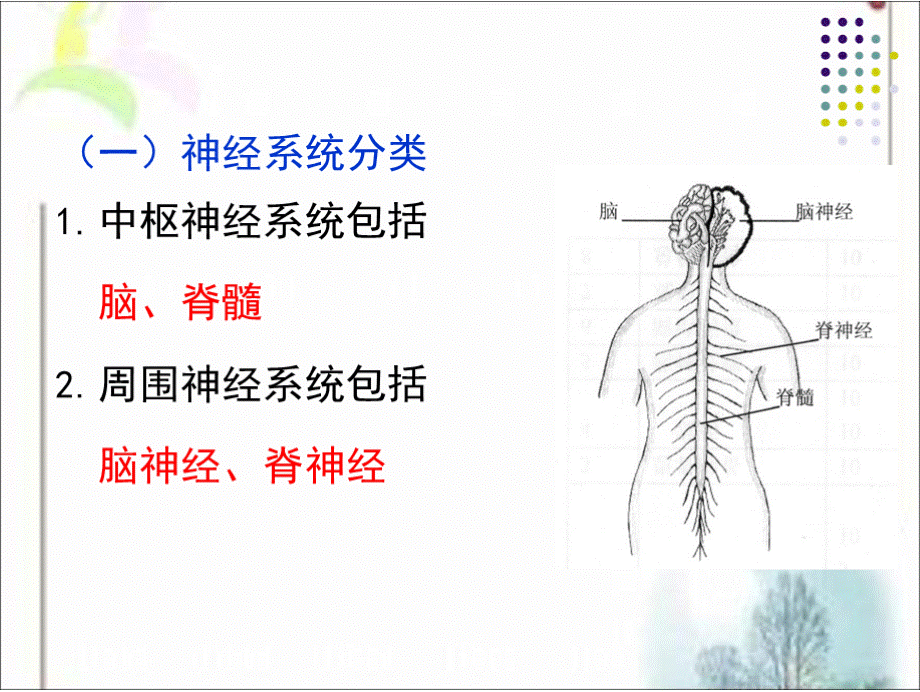 神经系统疾病病人的护理.pptx_第3页