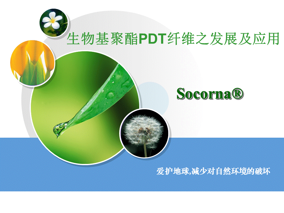 PDT纤维介绍.ppt_第1页