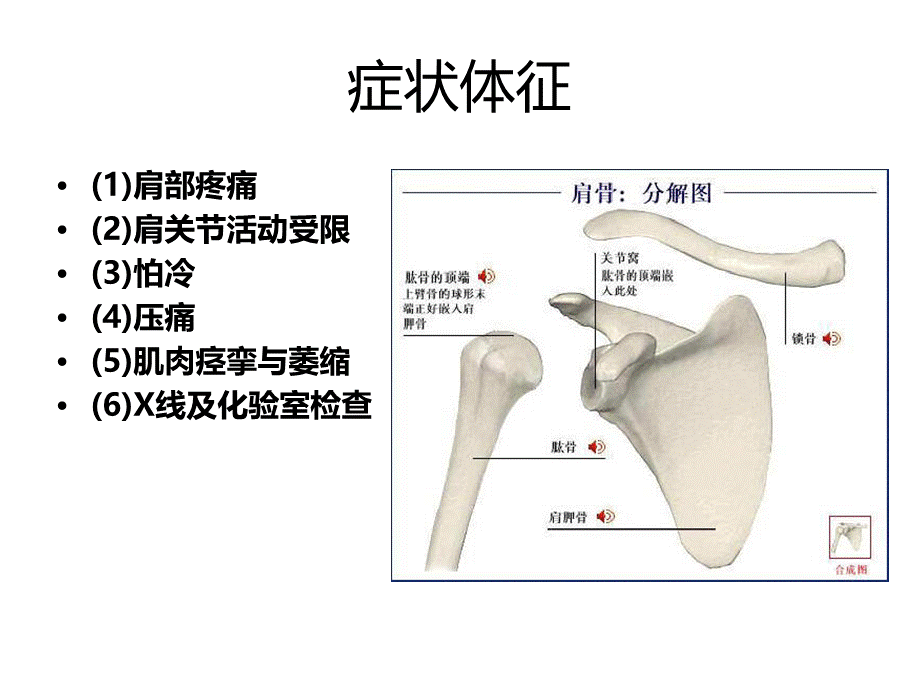 肩周炎的护理PPT课件.ppt_第3页