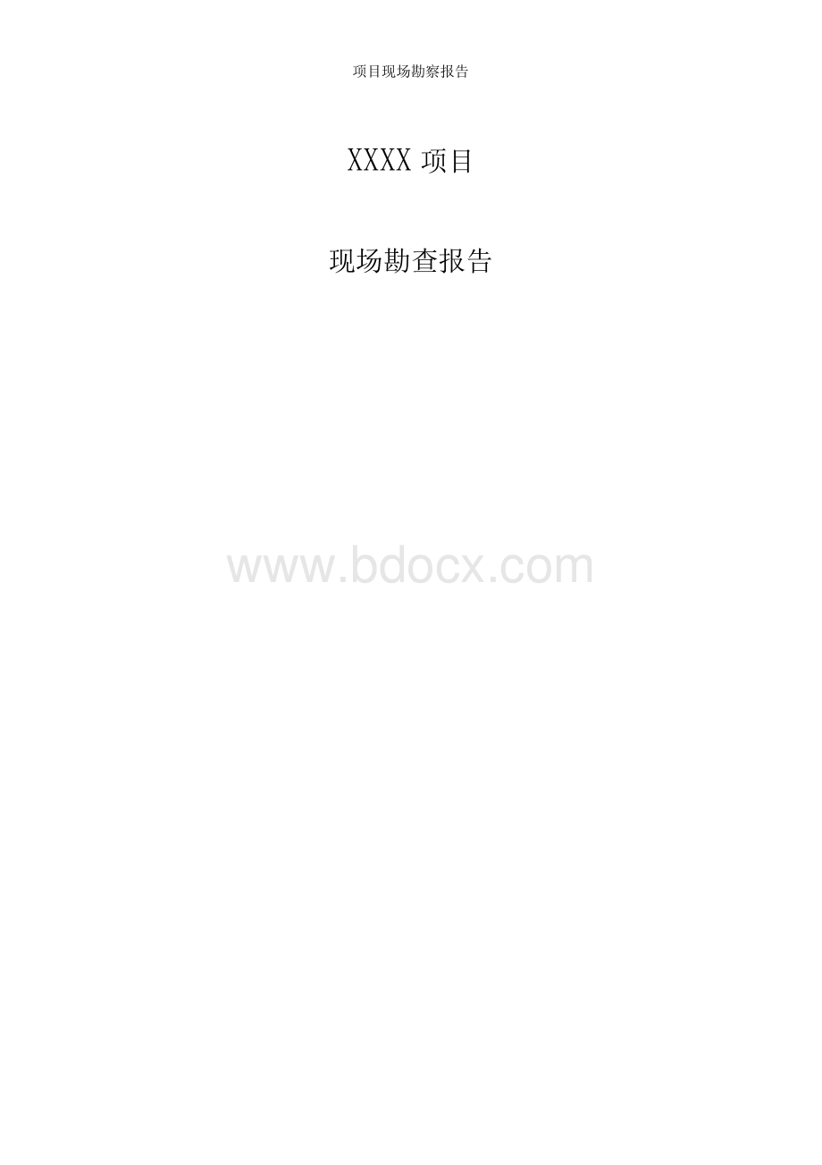 项目现场勘察报告Word文档下载推荐.docx_第1页