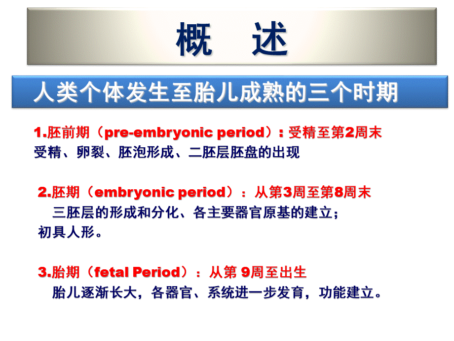 神经系统的发育 (2).pptx_第2页