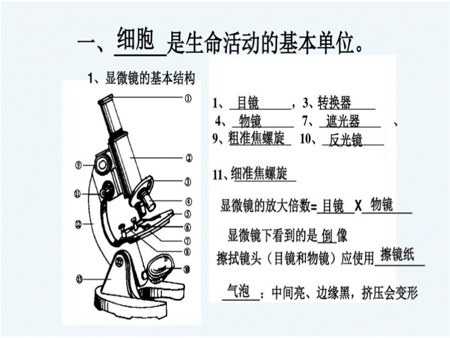 生物人教版八年级下册初中生物会考总复习精选.pptx