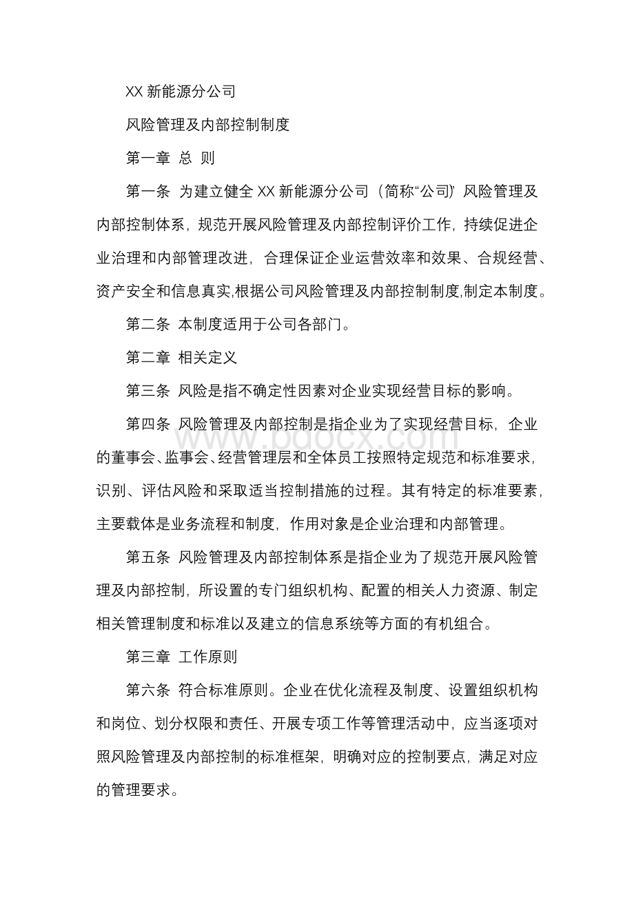 新能源分公司风险管理及内部控制制度Word文件下载.docx