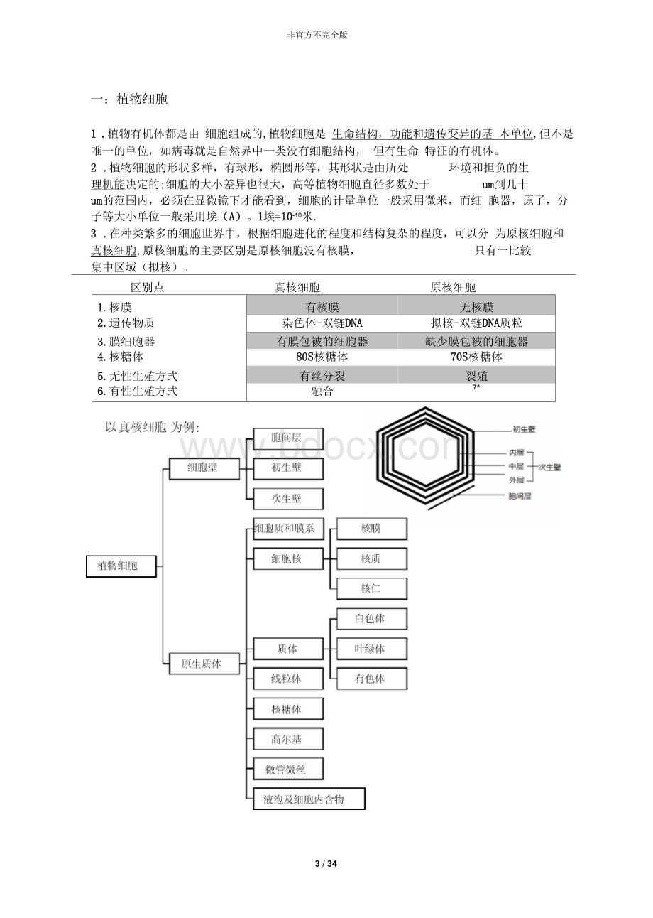 植物学重点形态解剖部分汇总.docx_第3页