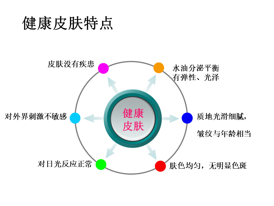 皮肤分类及保养PPT课件.ppt